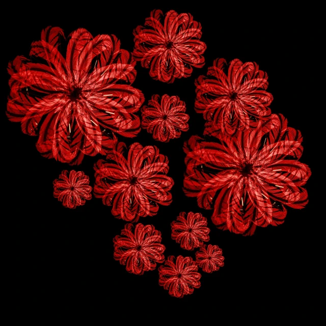 a round of red flower with black background