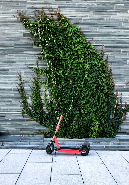an electric scooter with a red seat in front of a green plant