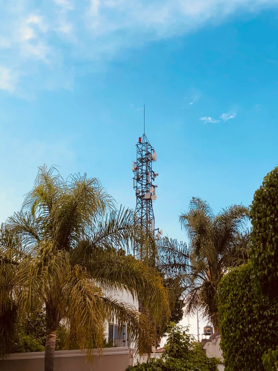 a tower of some sort behind palm trees