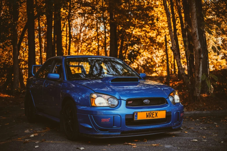 the front end of a blue car in a wooded area