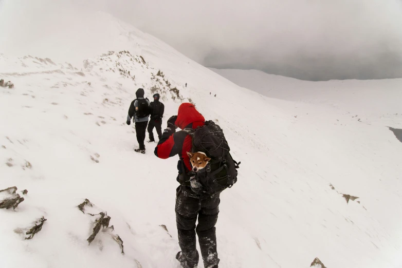 some people on snow skis climbing a mountain