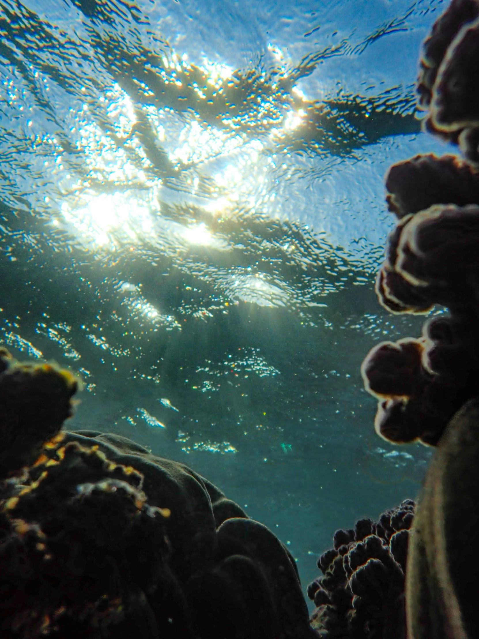 the light shines through the water over corals