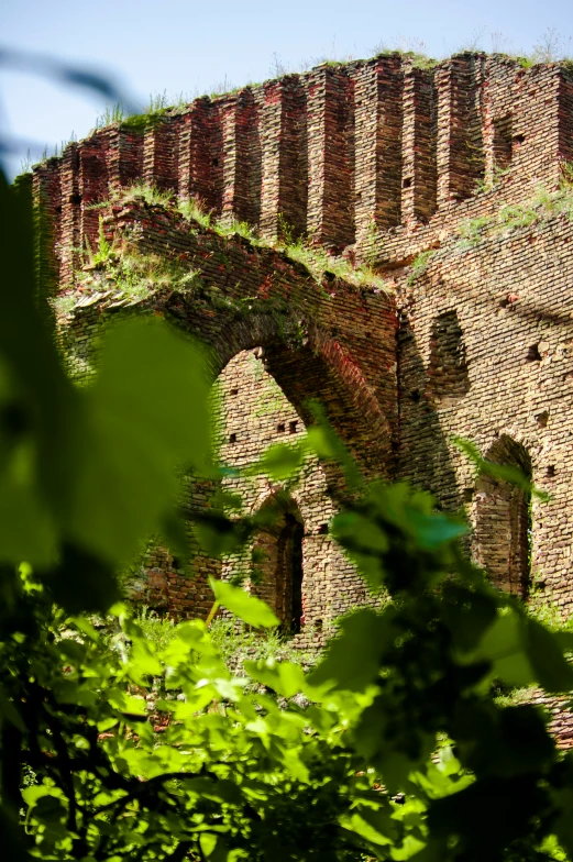 a brick structure with plants growing inside