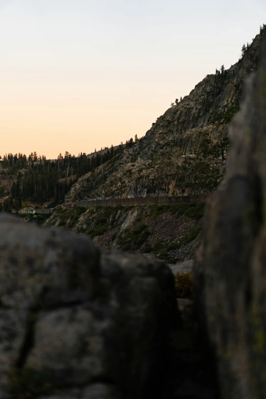 an animal that is standing on the side of a cliff