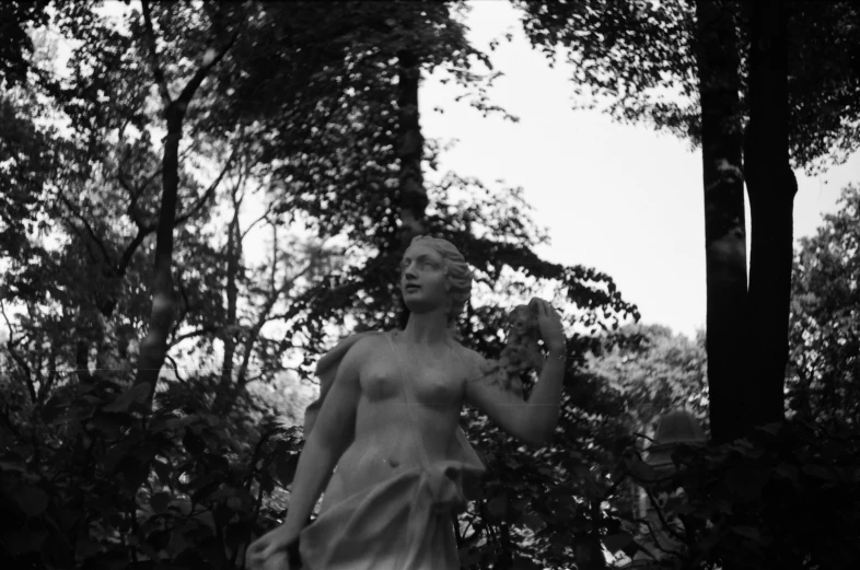 a statue sitting in the woods by itself