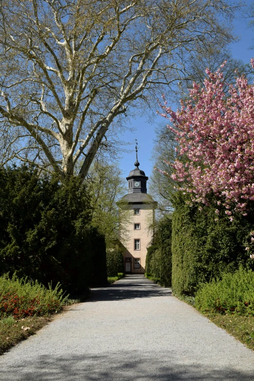 a light house between two trees on a gravel road