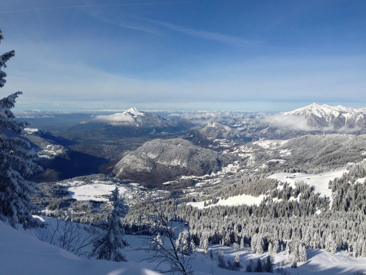 a mountain covered in snow next to a forest