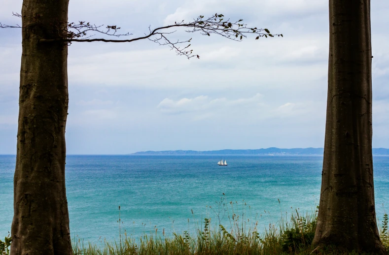 the view is from the side of a hill looking out into a beautiful blue ocean