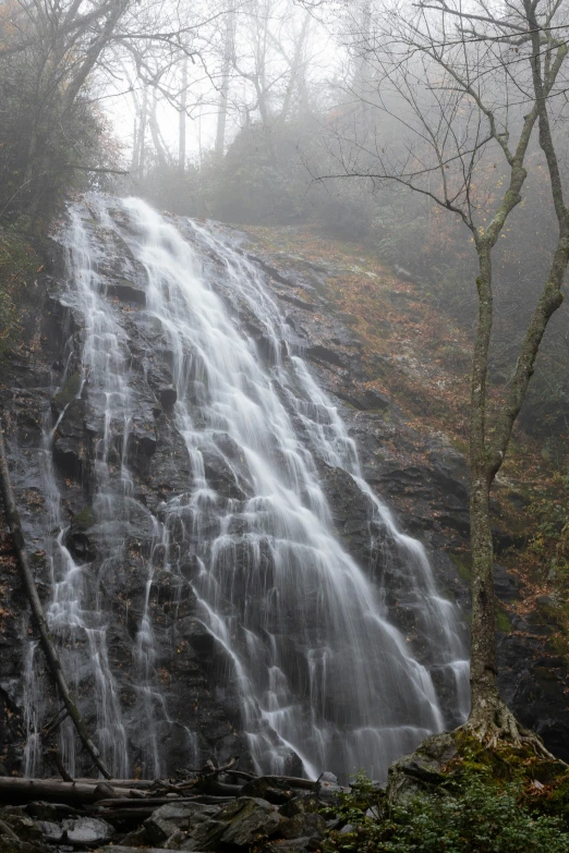 a large waterfall is falling down into a wooded area