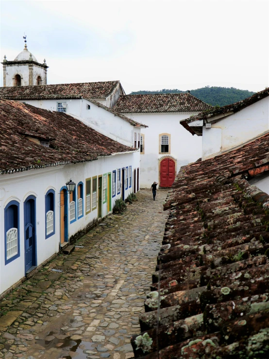 a cobblestone path that has buildings with red and blue shutters