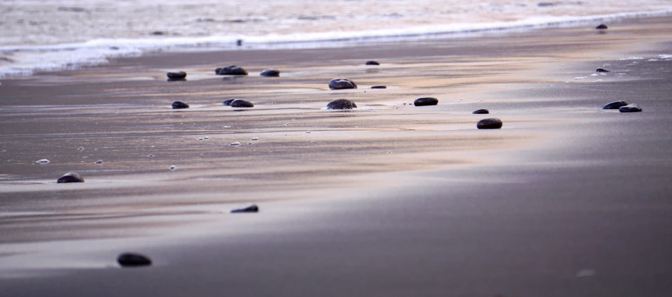 there is an ocean beach with rocks in the sand