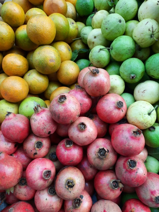 a collection of different types of fruit with some dirt on them