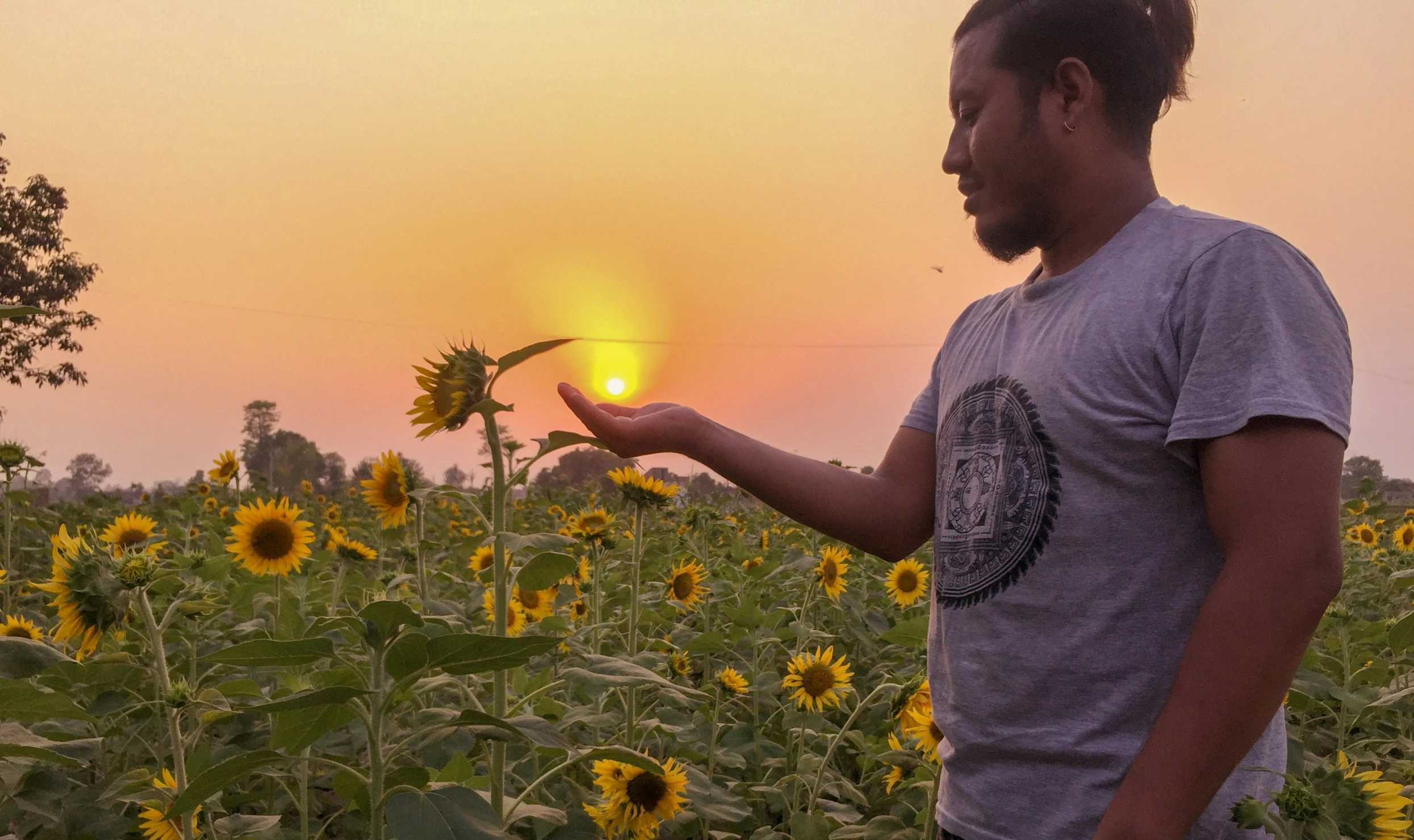 man in front of a sunflowers field holding a flower