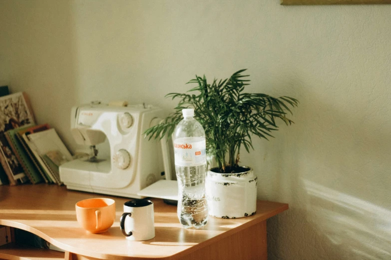 a table with two plant, coffee mug and microwave