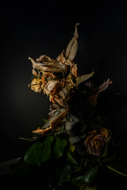 a bouquet of flowers in a dark room