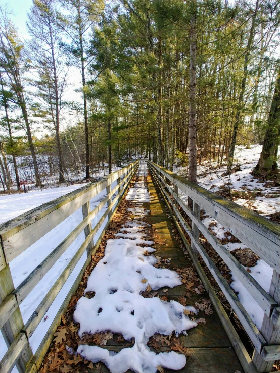 a wooden bridge in the snow with trees