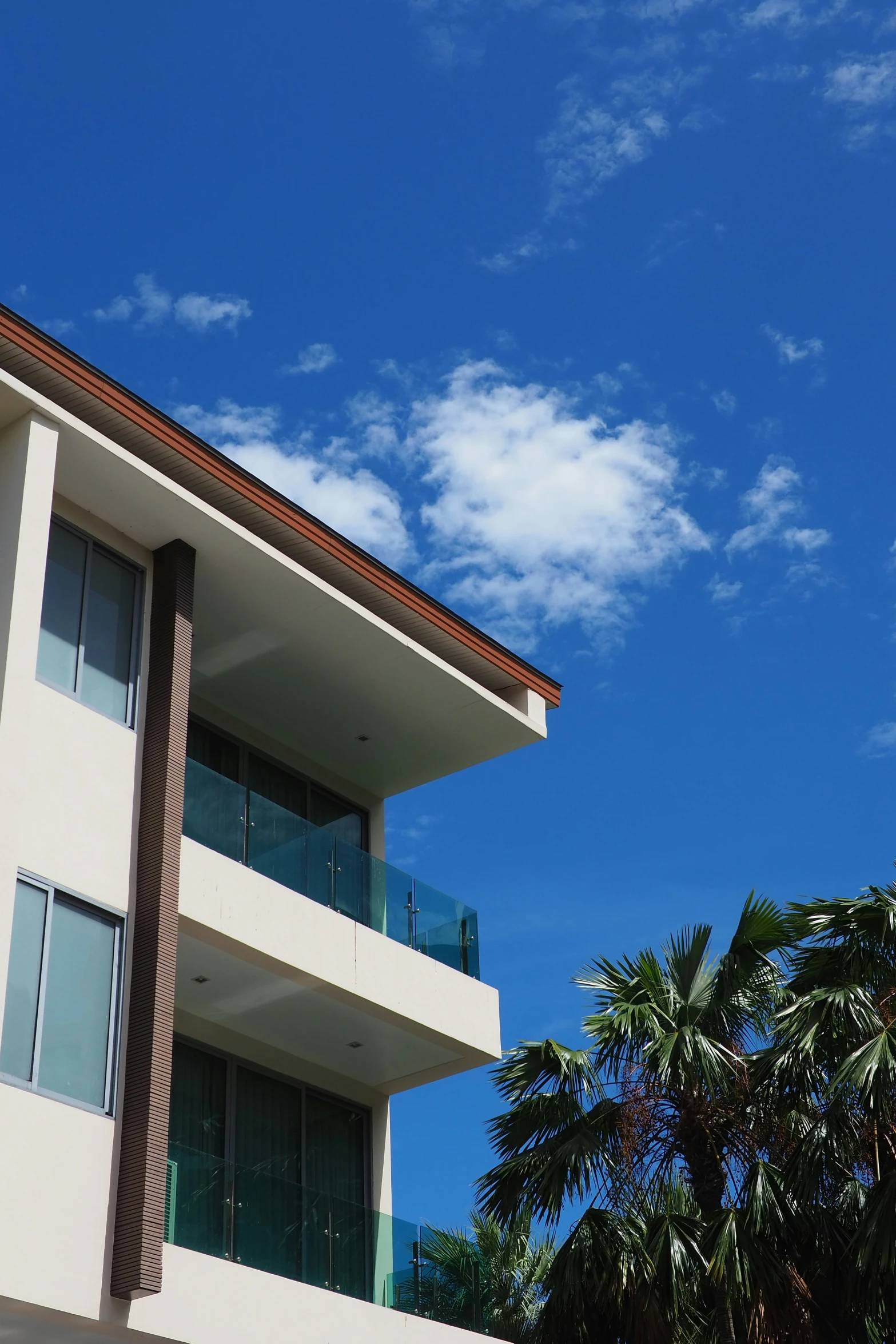 a building with an elegant balcony and a green palm tree