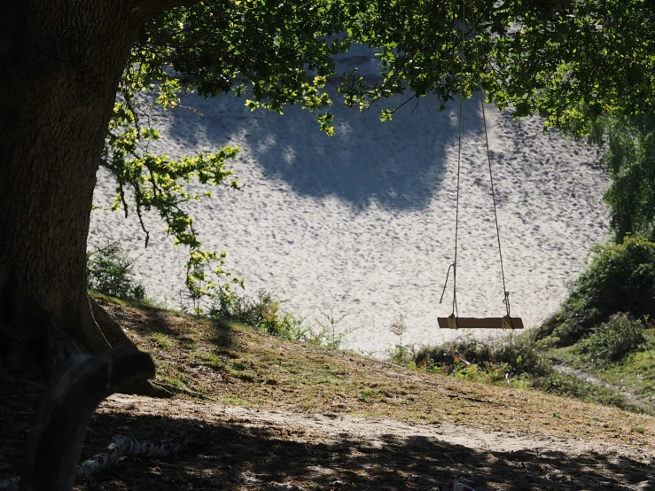 a swing hanging in the grass near a tree
