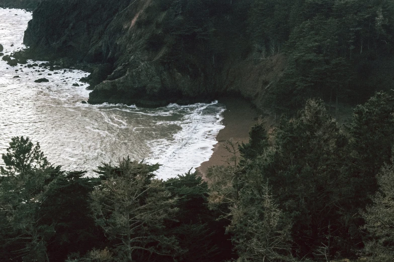 an overhead view of an ocean next to trees