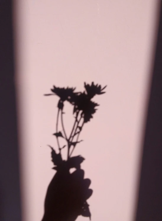 the silhouette of a hand with flowers is shown