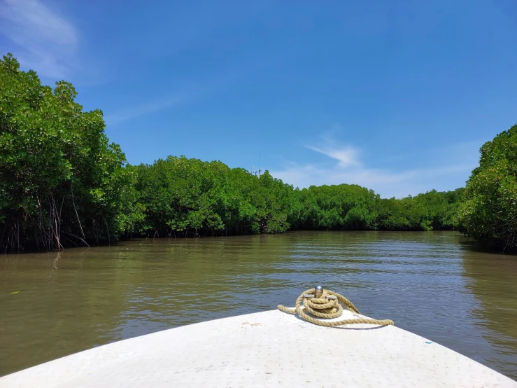 the view from a boat on a canal with trees