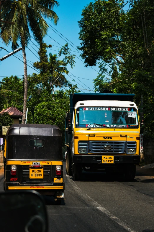 two large trucks on street next to palm trees