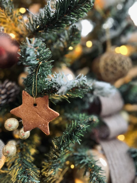 a star ornament on the christmas tree