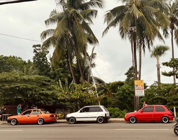 cars driving down a street between tall palm trees