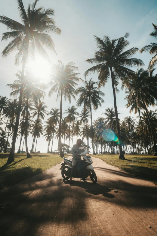 a person riding on a motor cycle through palm trees