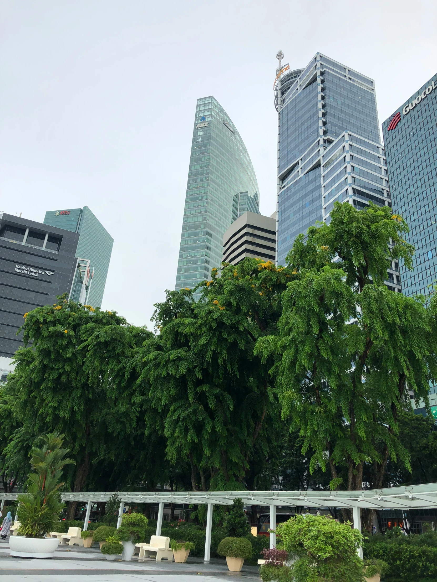 view of tall buildings and trees in city square