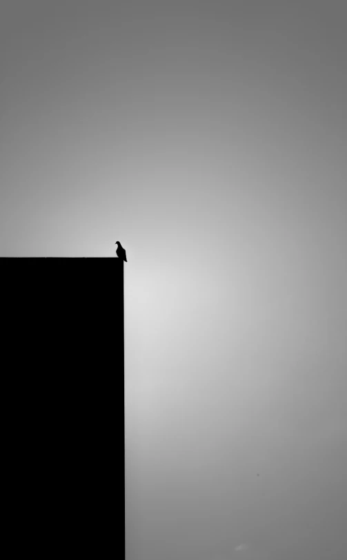 a bird sitting on top of the roof of a tall building