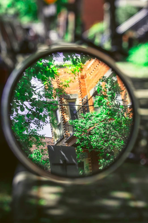 a mirror showing the image of trees and a building