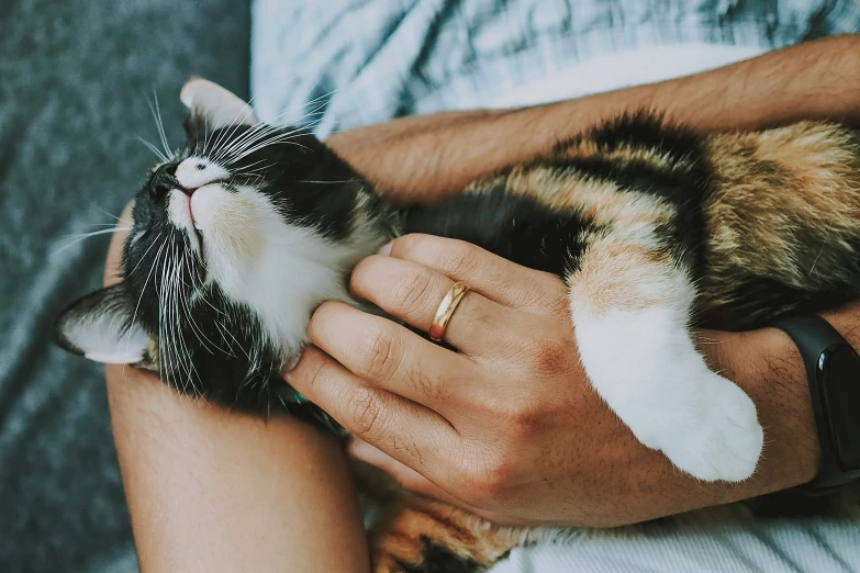 man holding a black and white cat on his lap