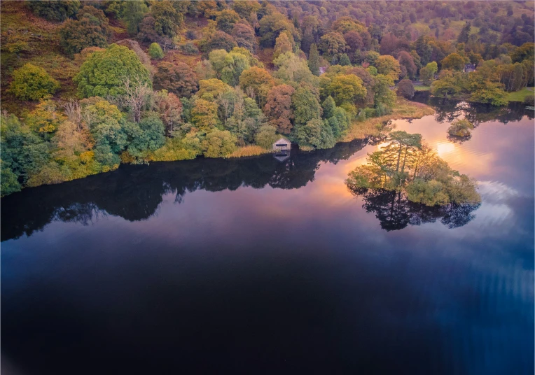 the lake and the tree are in the woods