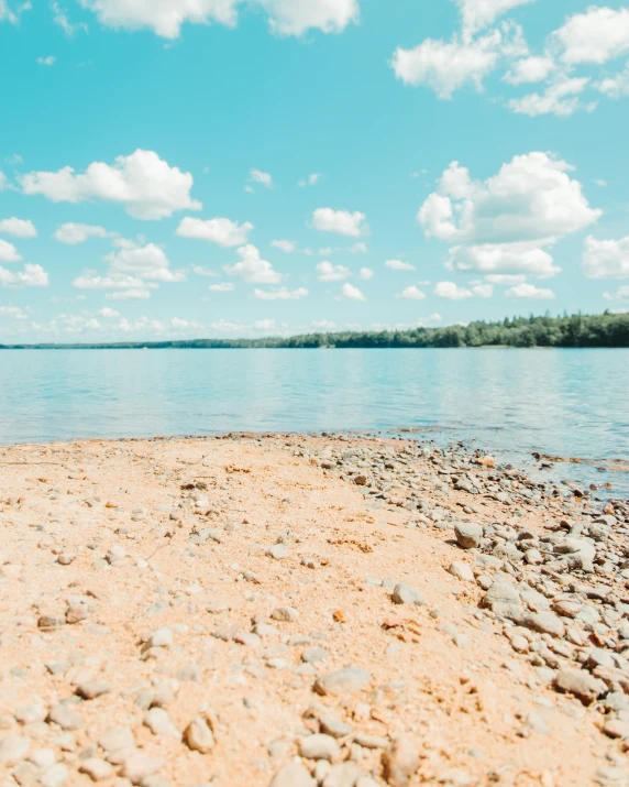 a bench on the shore by a lake