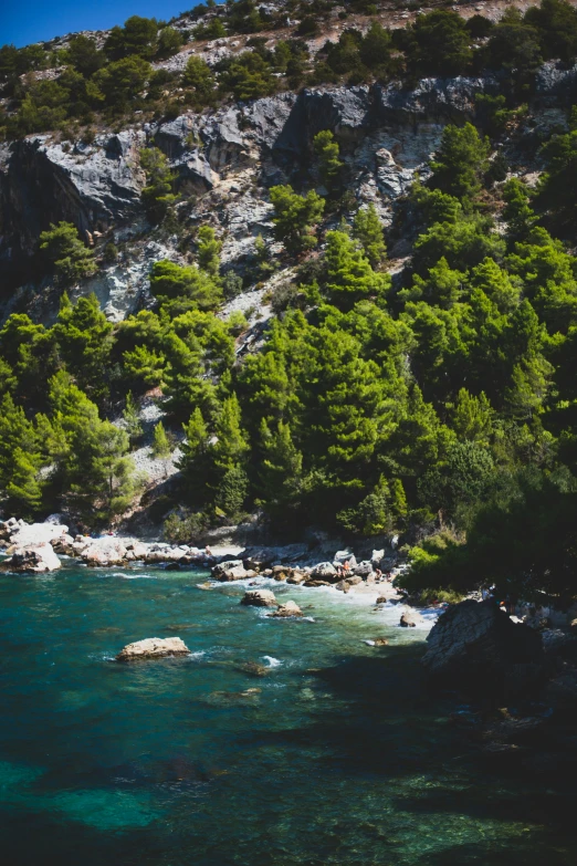 a river is flowing between some trees and rocks