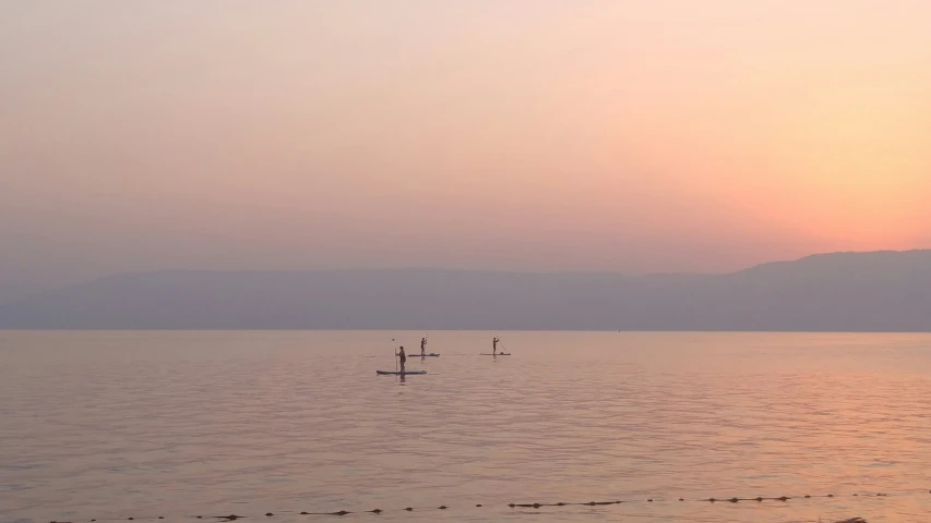 some birds and boats in water and mountains