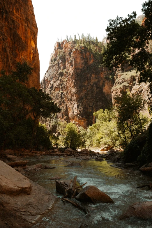 the sun shines brightly on the rocks and trees near a stream