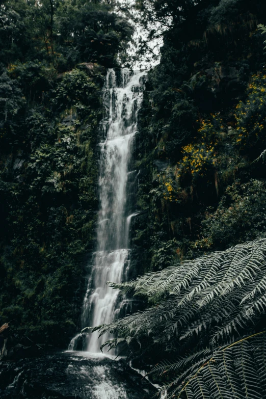 a small waterfall surrounded by greenery and trees