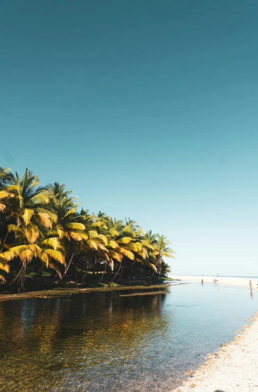 a beach with two people in the water, with some coconut trees