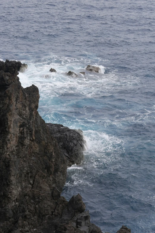 a bird is sitting on the cliff overlooking the ocean