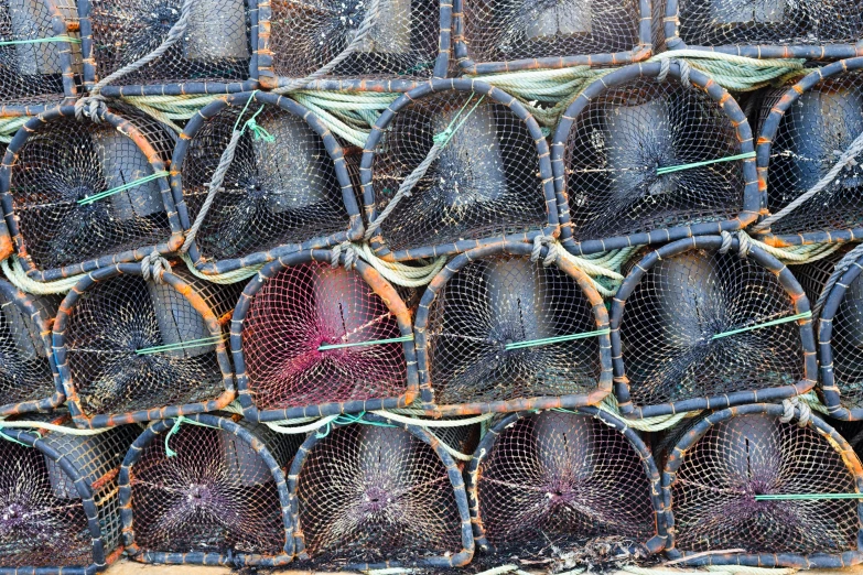 a lot of lobster nets are piled on each other