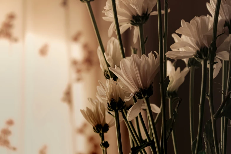 a glass vase is shown with daisies next to the window