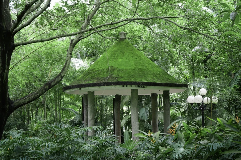 a small building surrounded by trees and greenery