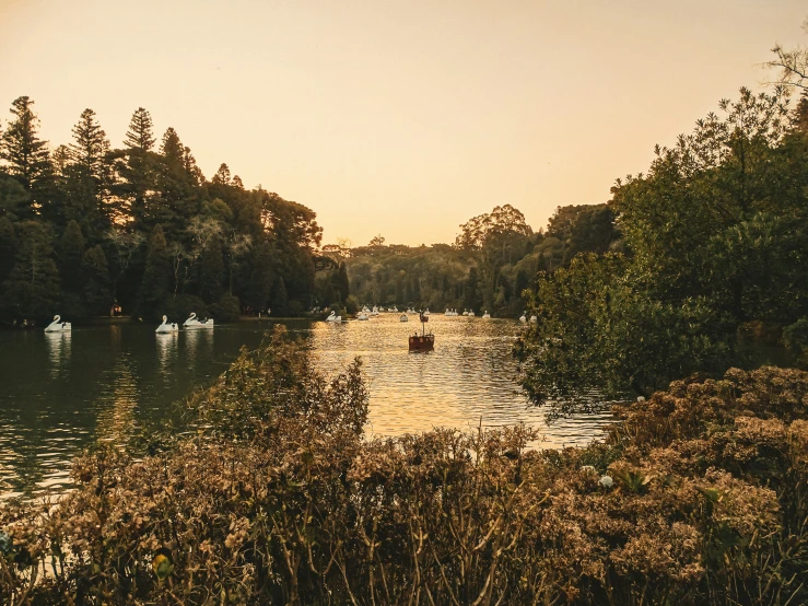 a lake surrounded by some trees and vegetation