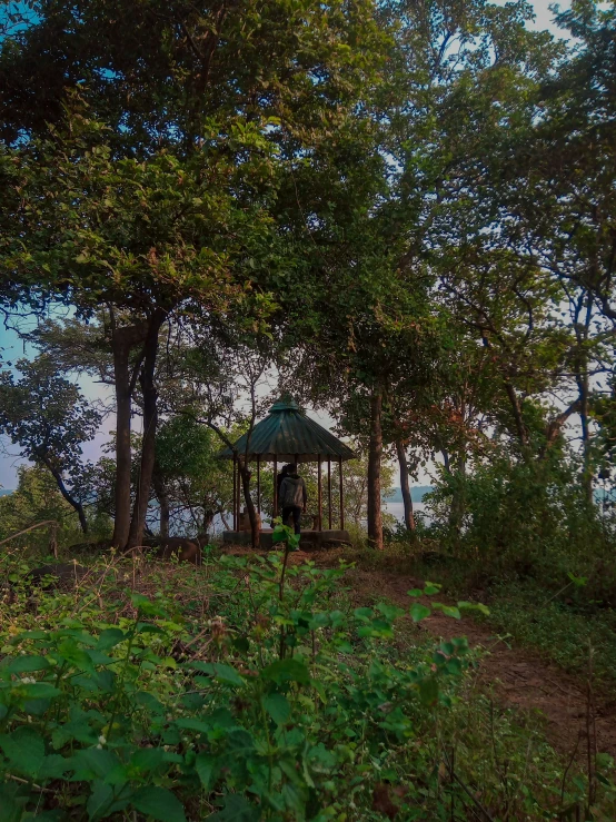 a gazebo in the middle of trees and plants