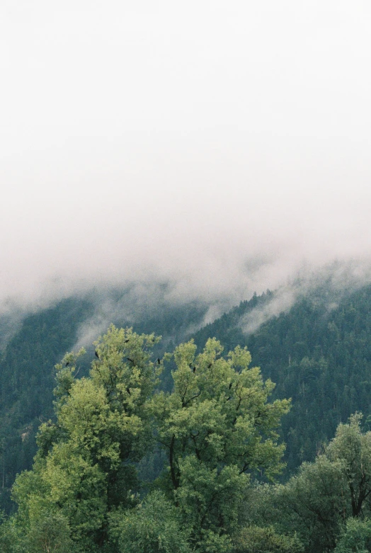 an old barn in the fog near a mountain