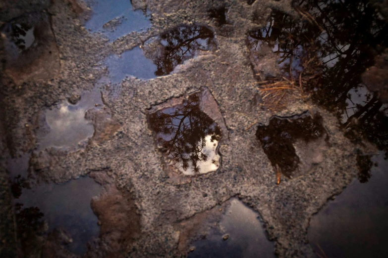 a bird reflection is seen on a dle