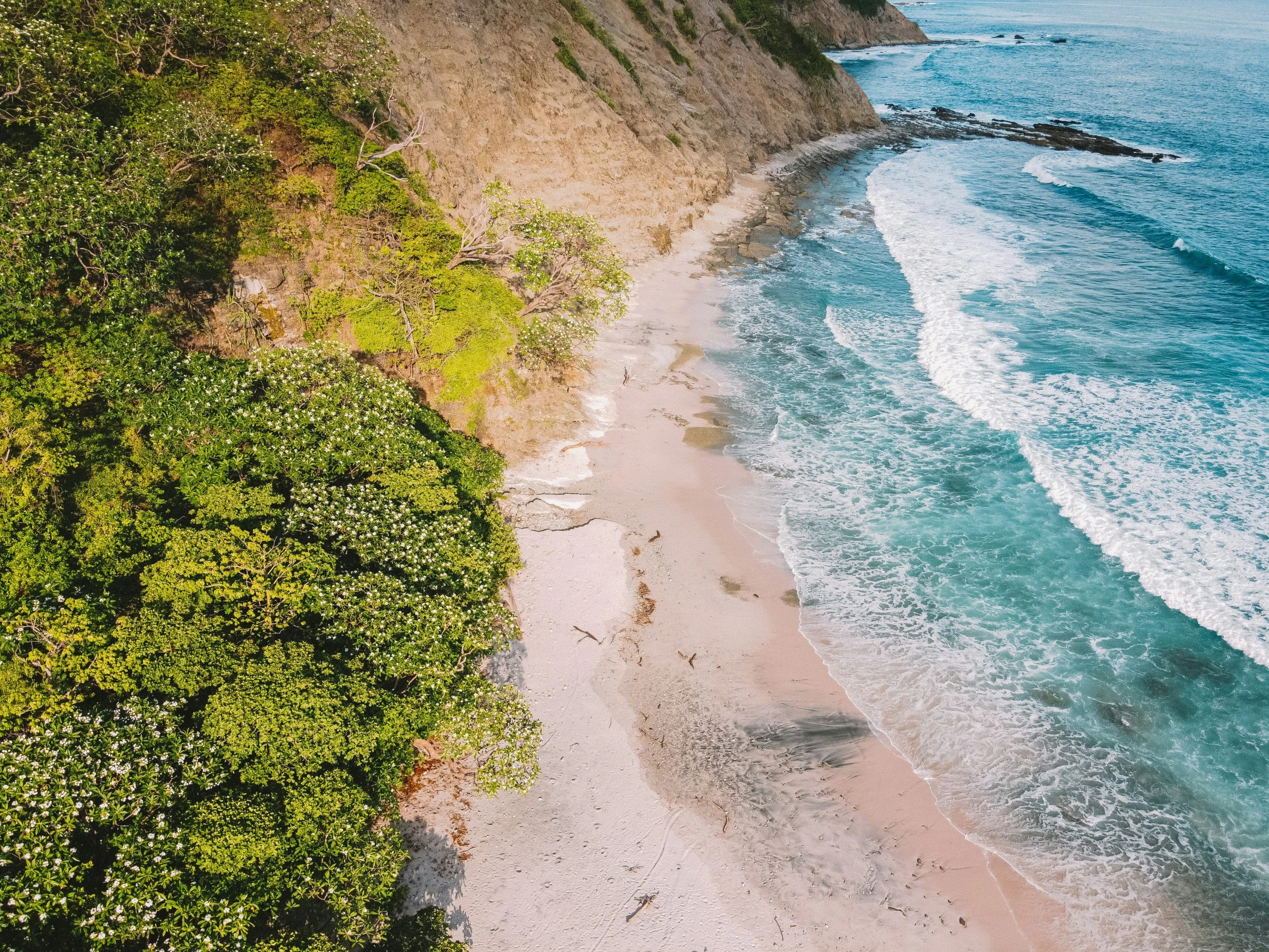 an aerial s of the beach with green vegetation