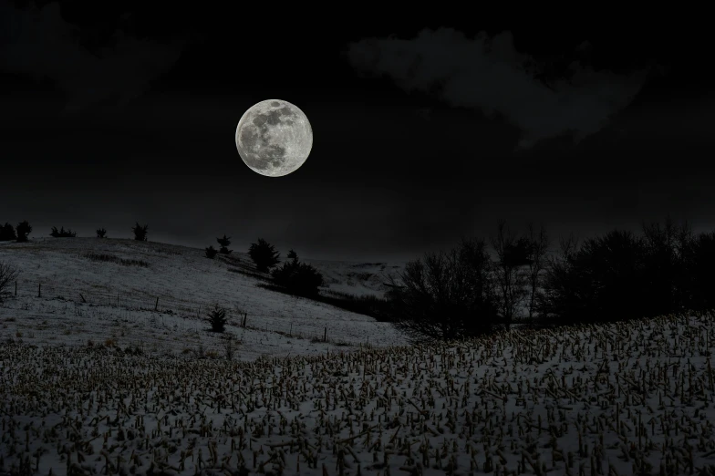 a view of a very large full moon over the field